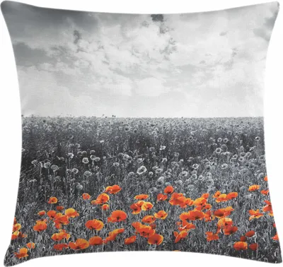 Produktbild von ABAKUHAUS Mohn Kissenbezug, Blumen-Feld-Muster mit Graustufen Hintergrund Volkstrauertag Thema Nostalgic, 60 x 60 cm, Orange und Grau
