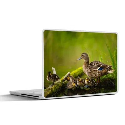 Produktbild von MuchoWow® Laptop Aufkleber Sticker Cover Ente - Vögel - Wasser - Zweig - Moos 30x21 cm - Sticker für Laptop - Selbstklebend