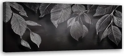 Produktbild von Leinwandbild Minimalismus Blätter Pflanzen Schwarz-Weiß 120x40 Feeby Grau bild für die wand bereit zum aufhängen