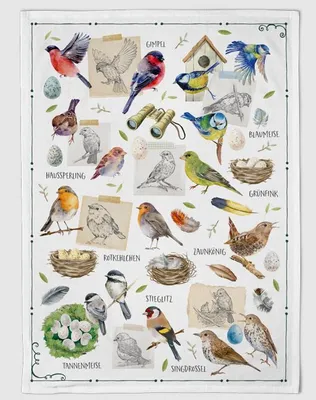 Produktbild von Geschirrtuch Vogelkunde, Geschirrtücher Mitbringsel Geschenkidee, Gartenvögel