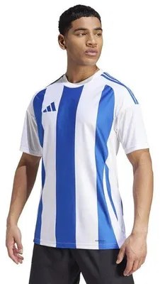 Zdjęcie produktu dla Koszulka Adidas Striped 24 IW2144