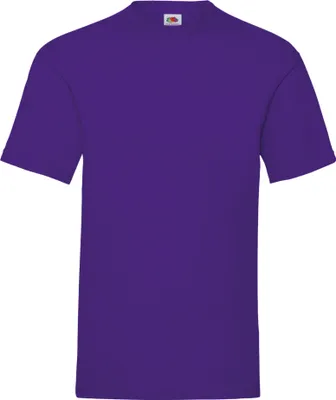Produktbild von Fruit Of The Loom Herren Kurzarm T-Shirt BC330 (M) (Violett)