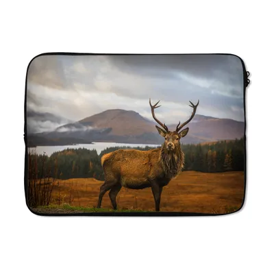 Produktbild von MuchoWow® Laptop Hülle 13 Zoll Hirsche - Berge - Wasser - Landschaft - Tiere - Bäume Laptoptasche - Laptophülle - Sleeve - Rundumschutz