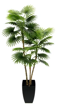 Image de Palmier artificiel, type éventail, en pot. Plante artificielle, palmier décoratif