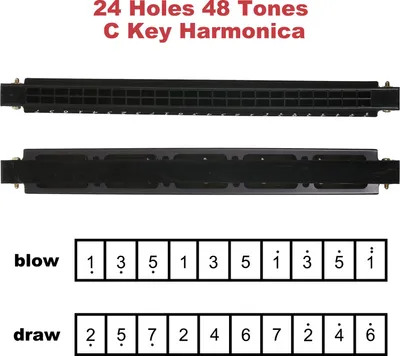 Zdjęcie produktu dla Harmonijka ustna, profesjonalna harfa, tonacja C, 24-otworowa polifonia, harmonijka diatoniczna z futerałem do bluesa, folku, jazzu, muzyki pop, dla studentów, nauczycieli, początkujących, na prezent