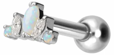 Produktbild von Ohrpiercing Titan Ohrpiercing mit Innengewinde LOTUSBLÜTE Silber Stablänge: 8mm
