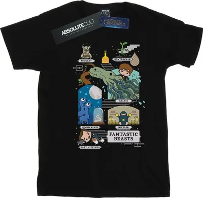 Produktbild von Fantastic Beasts - T-Shirt für Herren BI24725 (M) (Schwarz)