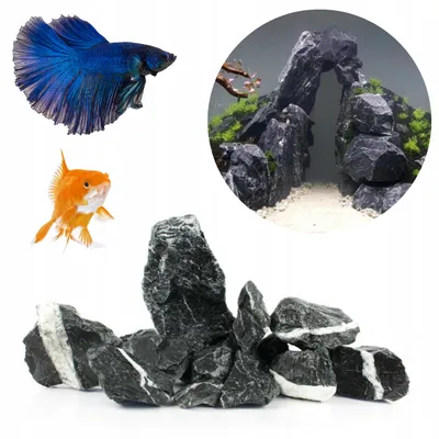 Immagine prodotto di Pietre per Acquario Dark Rock 3 kg, rocce decorative per Tanganika Malawi, roccia naturale per allestimento e grotte