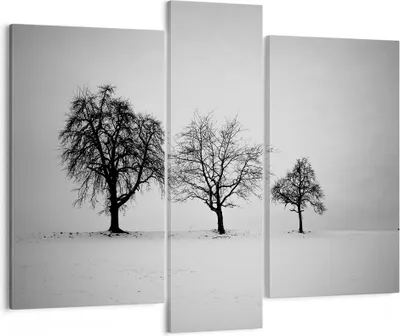 Produktbild von Bild auf Leinwand - Leinwandbild - 3 Teile - Winter Bäume Schnee - 95x80cm - Wand Bild - Wanddeko - Wandbilder - Leinwanddruck - Bilder - Wanddekoration - Leinwand bilder - Wandbild - CB95x80-4958