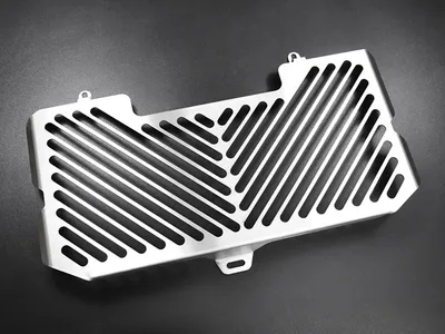 Immagine prodotto di Copriradiatore ZIEGER compatibile con BMW F 800 R Clean argento