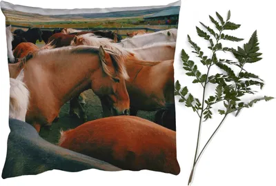 Produktbild von MuchoWow® Zierkissen Sofakissen Wohnzimmer Dekokissen 60x60 cm Pferde - Tiere - Spiel - Sitzfläche - Foto Polster