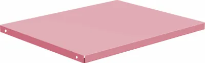 Produktbild von Einlegeboden Fachboden Schrankregal für ALEX Schrank 448 x 360 x 20 mm puderrosa