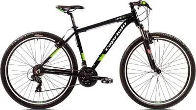 Image de Vélo tout terrain Capriolo LEVEL 9.1, 29"/21" noir vert