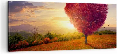 Produktbild von Bild auf Leinwand - Leinwandbild - Baum Wiese Blume - 120x50cm - Wand Bild - Wanddeko - Wandbilder - Leinwanddruck - Bilder - Kunstdruck - Wanddekoration - Leinwand bilder - Wandkunst - AB120x50-3790