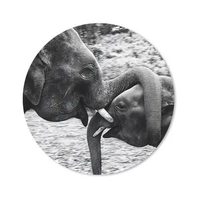 Produktbild von MuchoWow® Mauspad Mousepad Elefant - Tiere - Natur - Schwarz und weiß 20x20 cm - Mousepads - Maus Mat - Pad - Mausunterlage - Schreibtischmatte