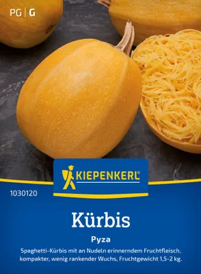 Produktbild von Kiepenkerl Kürbissamen Pyza Cucurbita pepo 10 Pflanzen