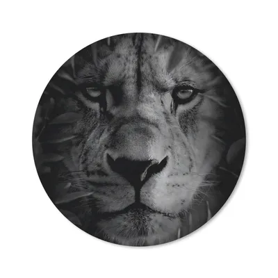 Produktbild von MuchoWow® Mauspad Mousepad Tiere - Löwe - Natur - Schwarz - Weiß 50x50 cm - Mousepads - Maus Mat - Pad - Mausunterlage - Vinyl