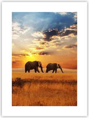 Produktbild von Poster - Poster ohne Rahmen - Elefanten Safari Dschungel Busch - 30x40 cm - Wand Bild - Wanddeko - Wandbilder - Kunstposter - Wandposter - Bilder - Kunstdruck - Wandbild - P2XPA30x40-3150