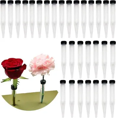 Image de Tubes à fleurs transparents en plastique, lot de 30, réutilisables