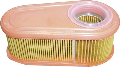 Image de Filtre à air compatible Briggs & Stratton, remplace 795066