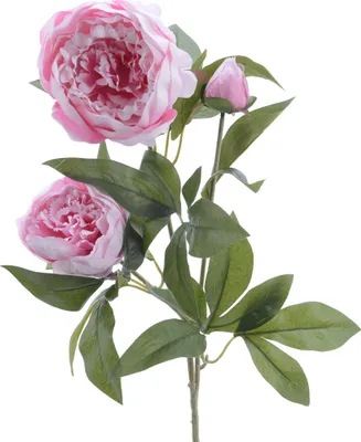 Pfingstrose mit 2 Blüten und Knospe am Stiel - Kunstblume - H: 75cm - rosa