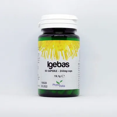 Produktbild von IGEBAS, 60 Kapseln