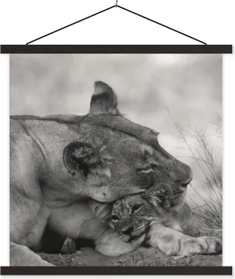 Produktbild von MuchoWow® Textilposter Löwin - Jungtier - Schwarz 60x60 cm mit schwarzem Rahmen - Posteraufhänger
