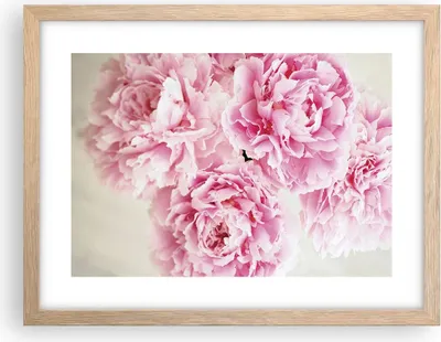 Produktbild von Gerahmtes Poster - Rahmen in heller Eiche - Pfingstrosen Blumenstrauß Blumen - 40x30 cm - Wand Bild - Wanddeko - Wandbilder - Kunstposter - Wandposter - Bilderrahmen - Bilder - P2NAA40x30-4961