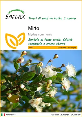 Immagine prodotto di SAFLAX  - Mirto - 30 semi - Myrtus