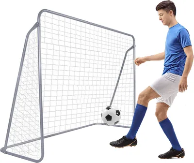 Image de But de football avec filet de football 240 x 170 cm But d'entraînement en acier