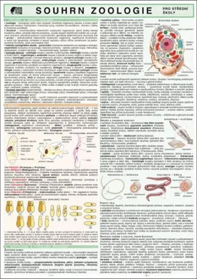 Obrázek produktu pro SOUHRN ZOOLOGIE pro SŠ A4 (Koubek Petr)