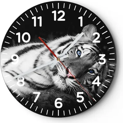 Produktbild von Wanduhr - Rund - Glasuhr - Weiß Tiger Schwarz und Weiß - 30x30cm - Schleichendes Uhrwerk - Lautlos - zum Aufhängen bereit - Dekoration Modern - Wanddekoration aus Glas - C4AR30x30-4247