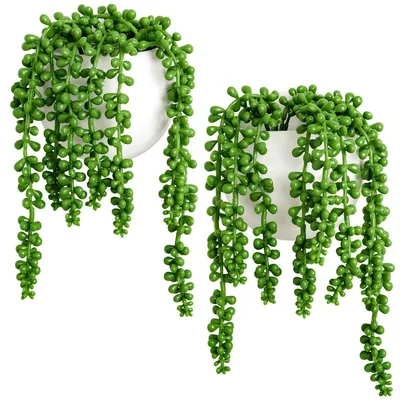 Immagine prodotto di Piante da parete con piante grasse artificiali per l'arredamento interno