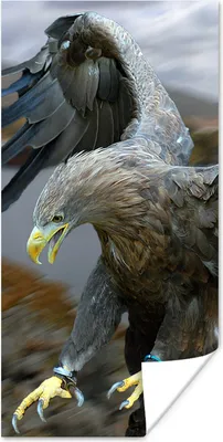 Produktbild von MuchoWow® Poster Ein europäischer Seeadler versucht, Beute zu machen 80x160 cm - Kinderzimmer