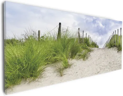 Produktbild von Wallario Premium Leinwandbild Auf dem Weg zum Strand durch Dünen in Größe 30 x 75 cm