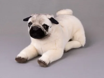 Produktbild von Kösen Mops Sir Henry 41 cm Stofftier