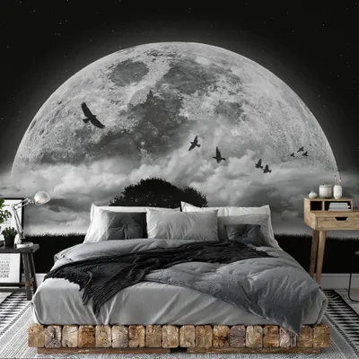 Produktbild von A.S. Création Designwalls 2.0 DD119044 Moon and Birds