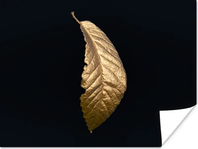 Produktbild von MuchoWow® Poster Blätter - Luxus - Gold - Schwarz - Natur 160x120 cm - Foto Plakat