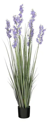 Produktbild von Gras campanula h150xd40cm