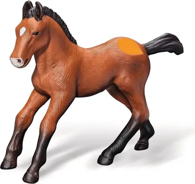 Produktbild von Ravensburger 003068 tiptoi® - Andalusier Fohlen