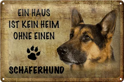 Produktbild von Blechschild Schäferhund 30x20cm Haus kein Heim ohne