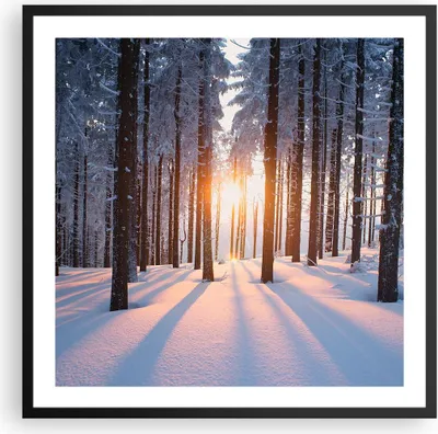 Produktbild von Gerahmtes Poster - Schwarzer Rahmen - Wald Winter Schnee - 60x60 cm - Wand Bild - Wanddeko - Wandbilder - Kunstposter - Wandposter - Bilderrahmen - Bilder - Kunstdruck - Wandbild - P2BAC60x60-3629
