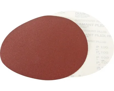 Produktbild von Schleifscheibe Holzmann Ø 305 mm, Korn 100 Klett
