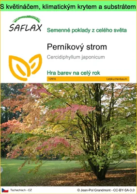 Obrázek produktu pro SAFLAX Garden to go - perníkový strom - Cercidiphyllum japonicum - 200 Semena - S květináčem, klimatickou poklicí a pěstebním substrátem