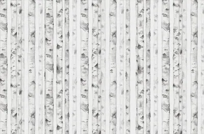 Produktbild von Sanders & Sanders Fototapete Wald Grau 424 x 280 cm