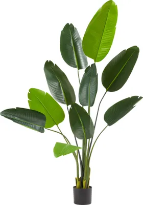 Obrázek produktu pro Umělý rajský pták Tropic, realistický - 160 cm