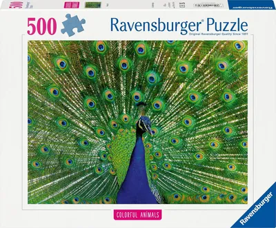 Image de Ravensburger Legpuzzel Colorful Animals Pauw, 500st.