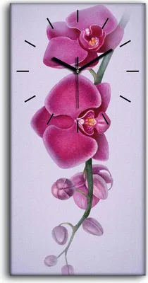 Produktbild von Wanduhr Uhr Wandbild Leinwand Geräuschlos 30x60 Aquarell Blumen Zweig Orchidee - schwarze Hände