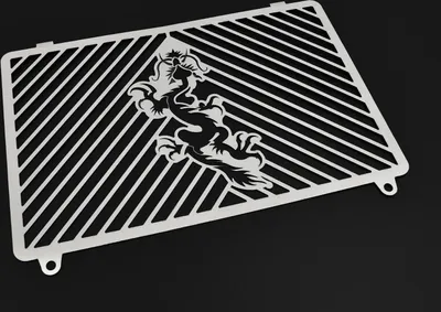 Obrázek produktu pro Kryt chladiče ZIEGER kompatibilní s Kawasaki Z750 Dragon silver