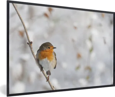 Produktbild von MuchoWow® Gerahmtes Poster Vogel - Rotkehlchen - Winter 90x60 cm - Poster mit Schwarzem Bilderrahmen Wandposter Rahmen Foto Bilder - Fotorahmen - Foto-Plakat